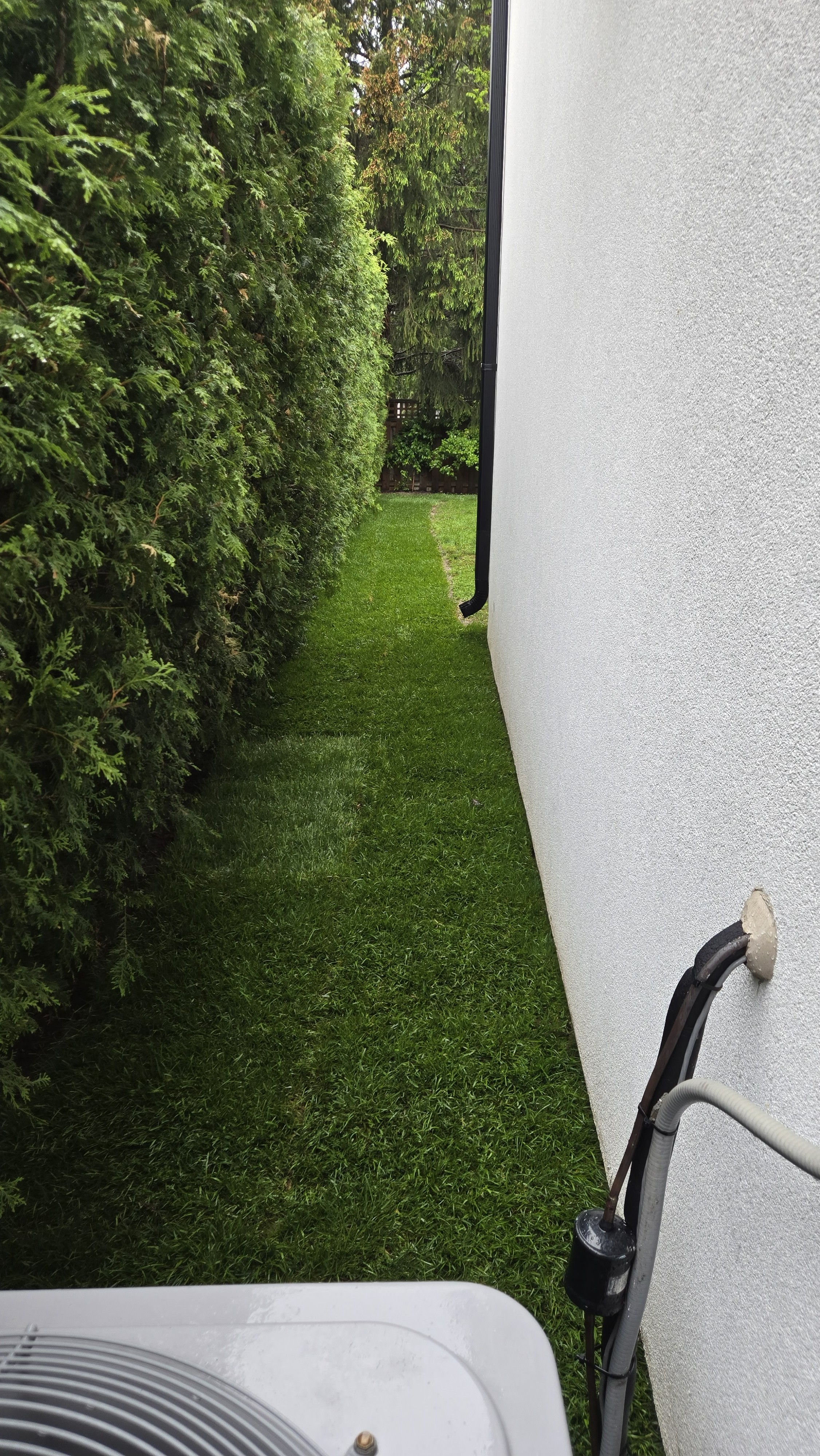 Sod installation and lawn replacement — Etobicoke